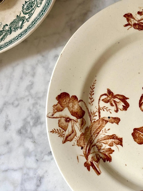Antique French Terre de Fer Plate, Pansées Model, Sepia Transferware, Salins, Brown Floral on Ivory, 24 cm