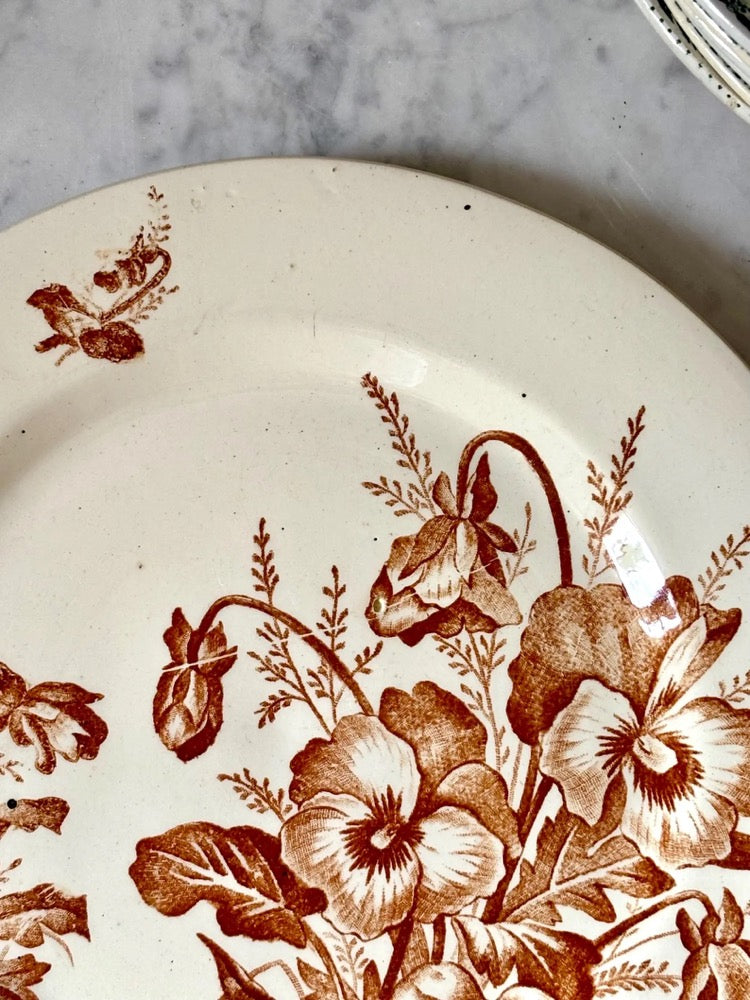 Antique French Terre de Fer Plate, Pansées Model, Sepia Transferware, Salins, Brown Floral on Ivory, 24 cm