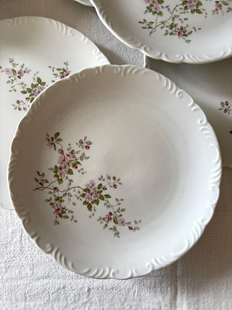 10 plates (5 dinner plates + 5 dessert or bread plates) in white porcelain with relief, pink floral decoration, Chartres porcelain
