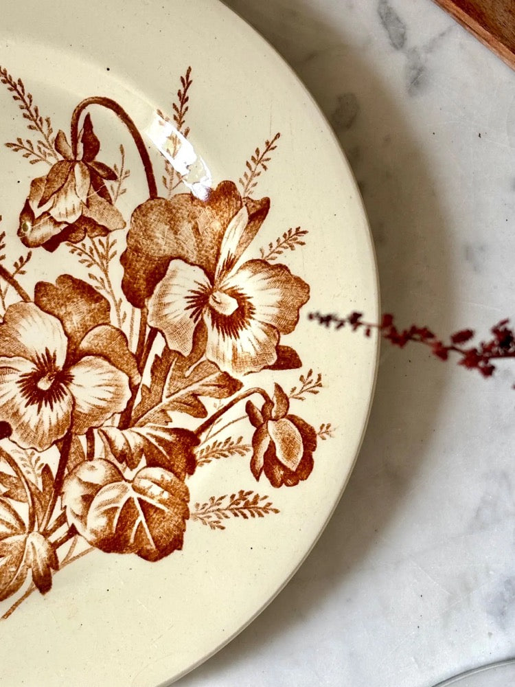 Antique French Terre de Fer Plate, Pansées Model, Sepia Transferware, Salins, Brown Floral on Ivory, 24 cm