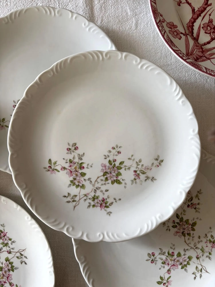 10 plates (5 dinner plates + 5 dessert or bread plates) in white porcelain with relief, pink floral decoration, Chartres porcelain